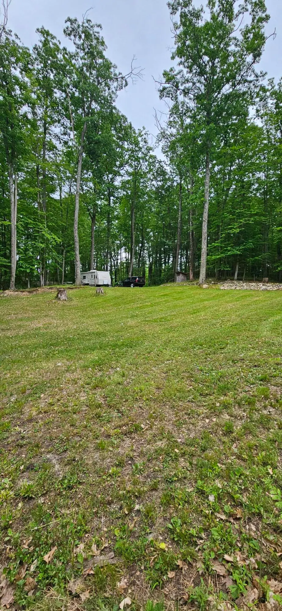 10527 Wampum Trail, Evart, MI 49631 - #1