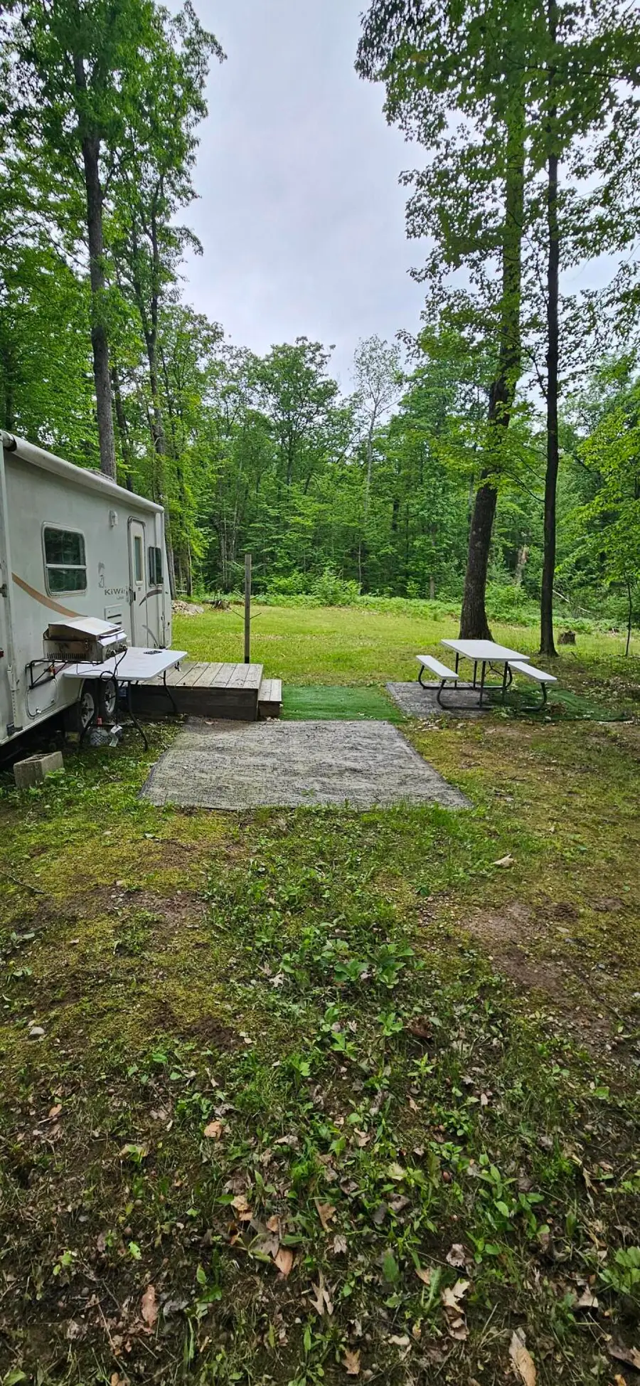 10527 Wampum Trail, Evart, MI 49631 - #3