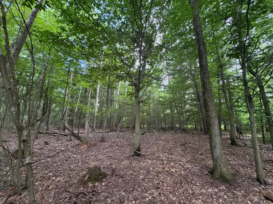 109th Avenue, Pullman, MI 49450 - #2