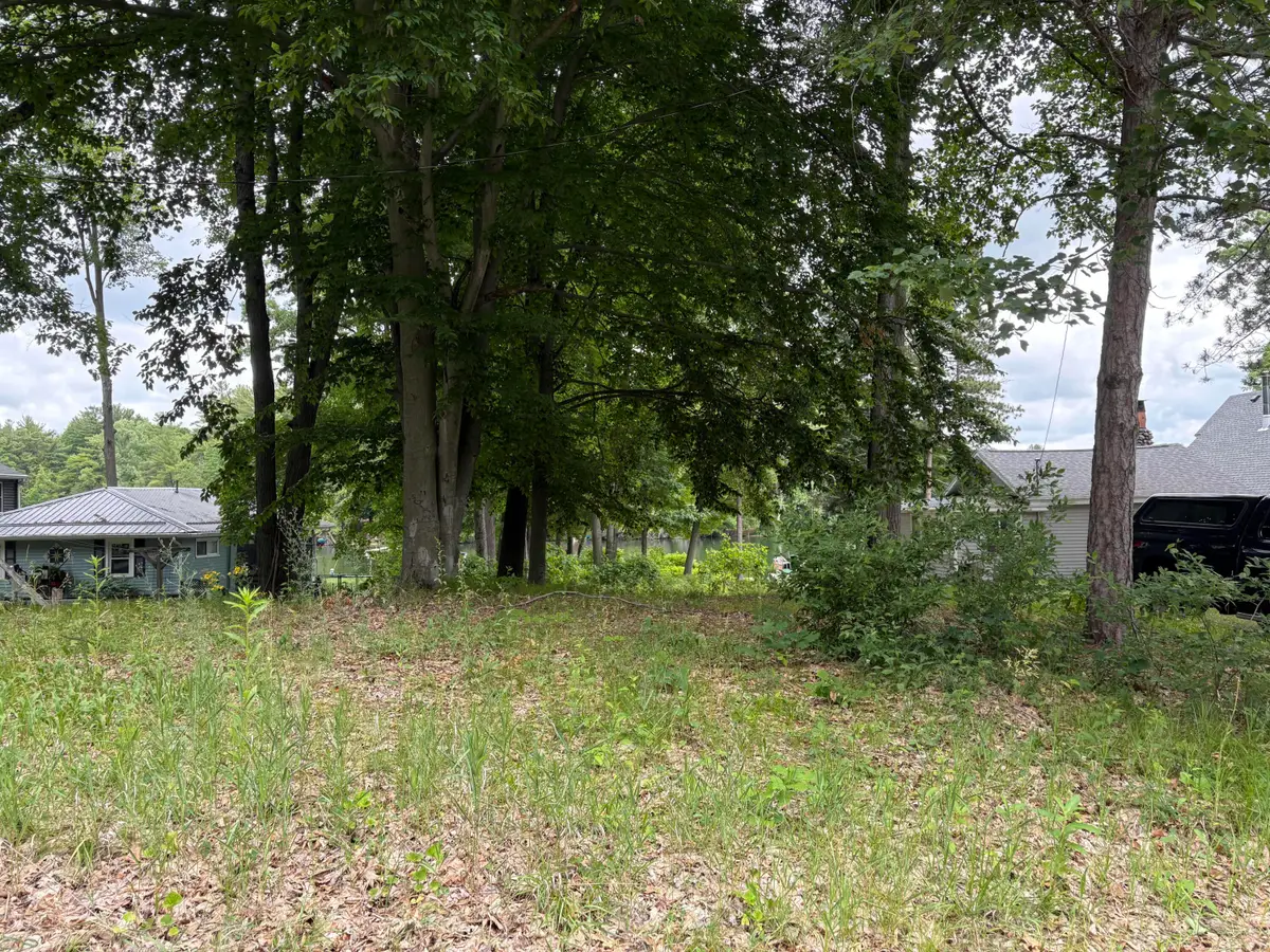 8740 W School Section Lake Drive, Mecosta, MI 49332 - #1