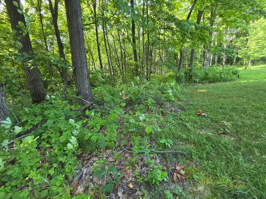 17641 Summerhill Lane #61, New Buffalo, MI 49117 - #3