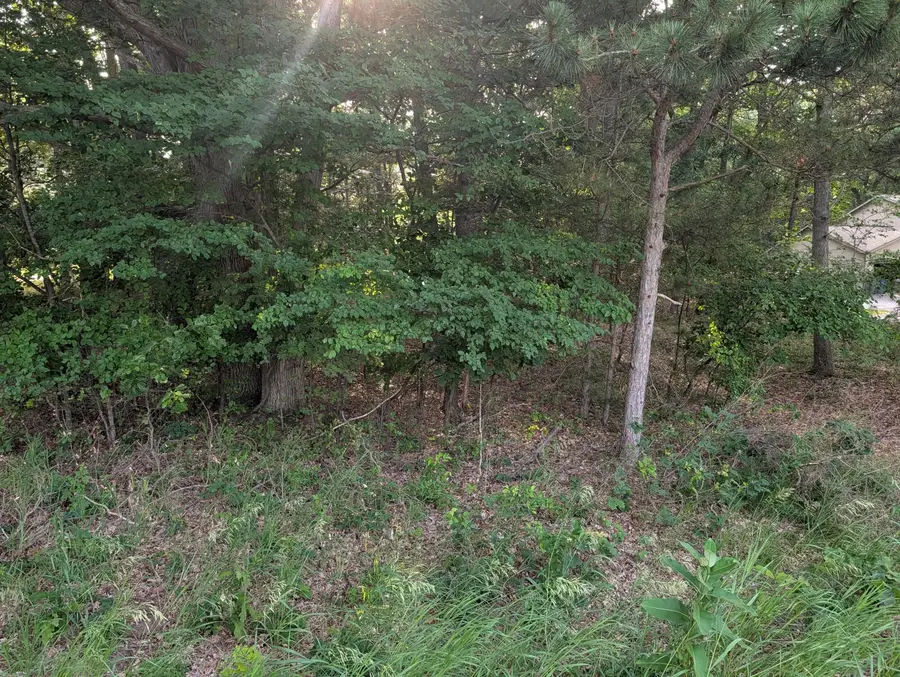 Ramona Drive #lot 14, Manistee, MI 49660 - #2