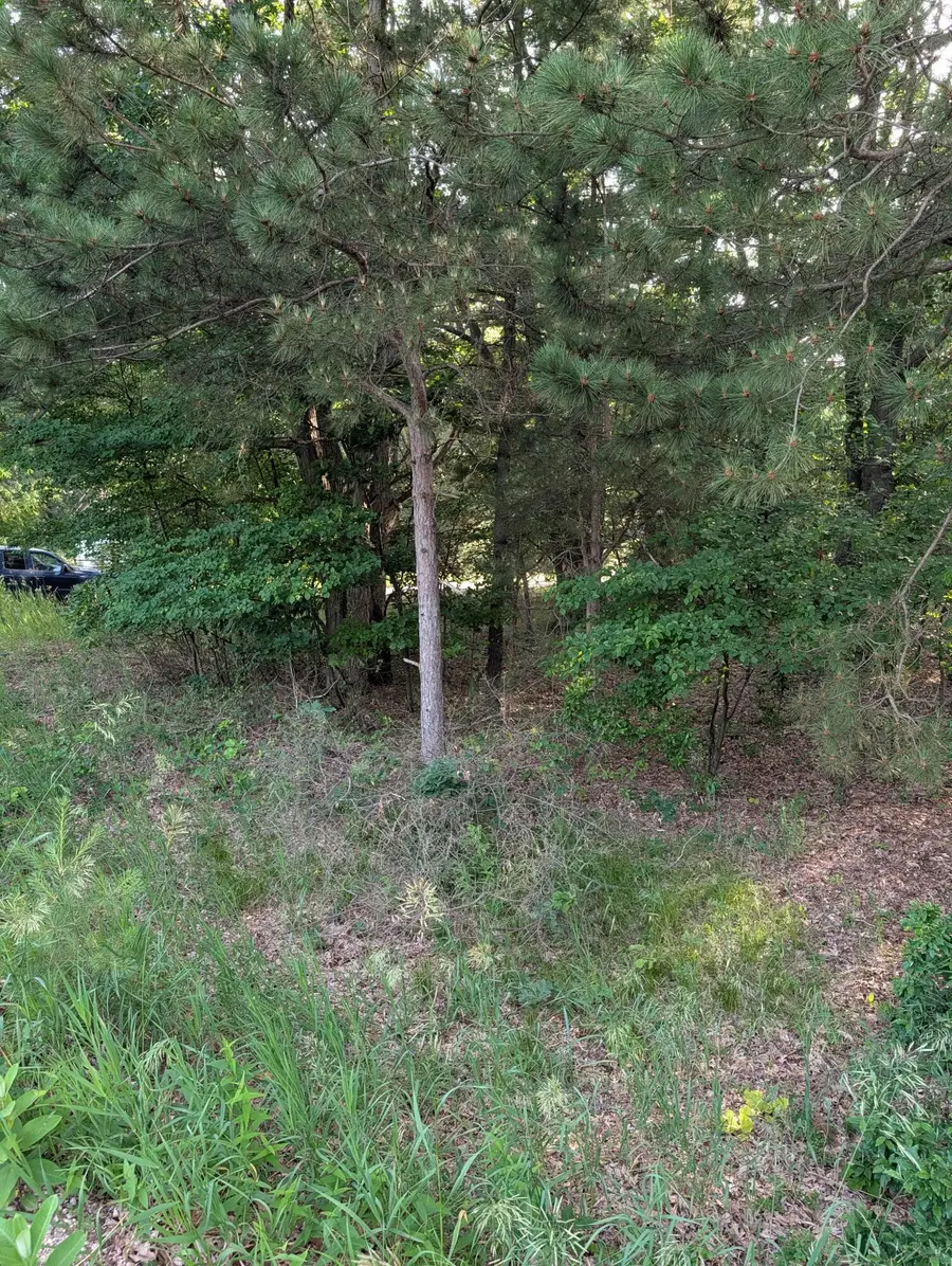Ramona Drive #lot 14, Manistee, MI 49660 - #3