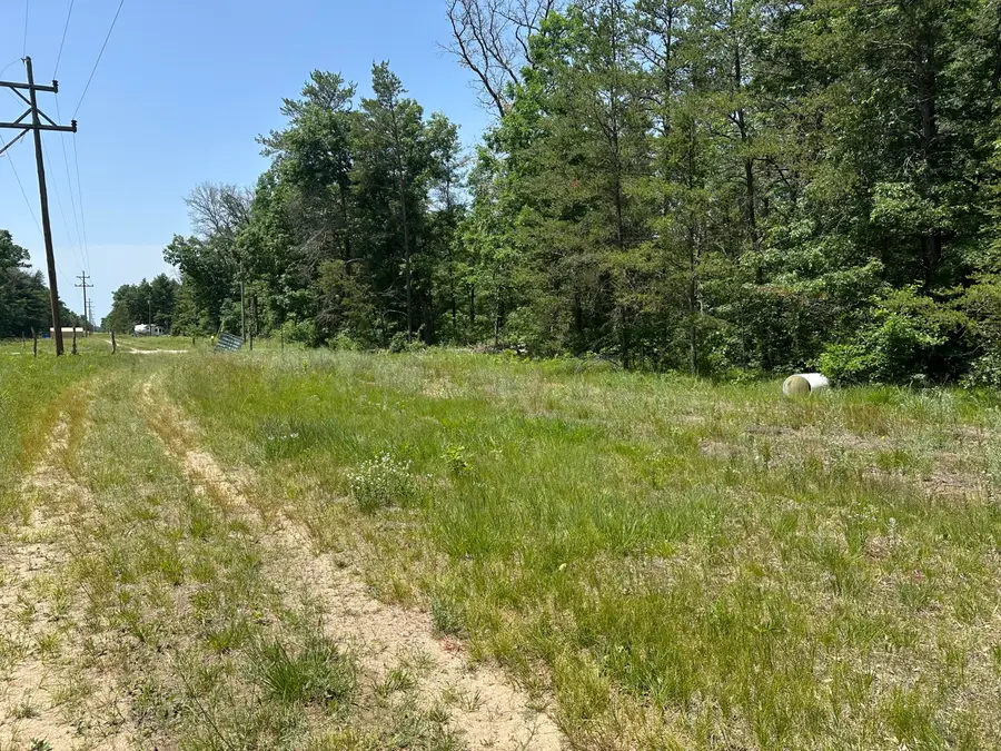 00 S Broadway Street, Idlewild, MI 49642 - #2