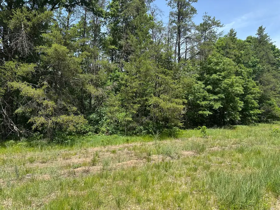 00 S Broadway Street, Idlewild, MI 49642 - #3