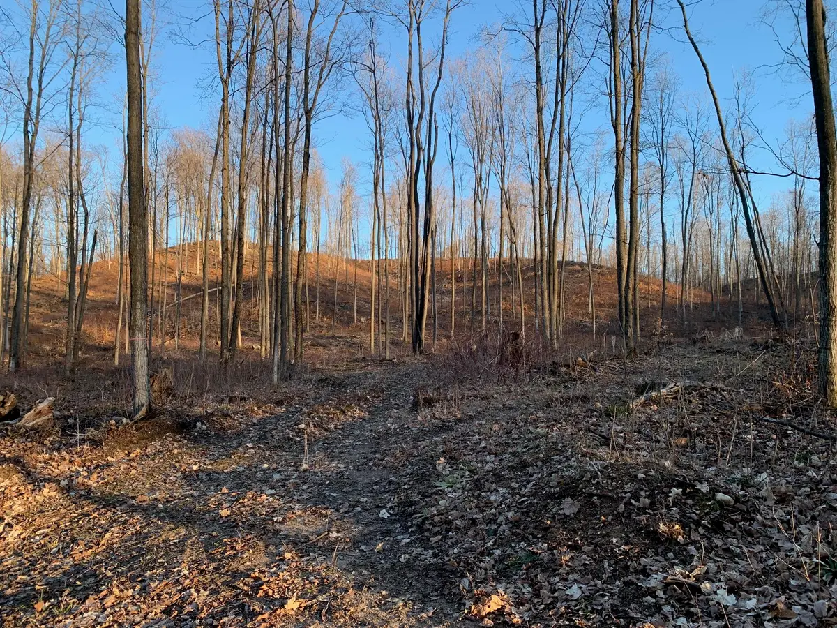 0 Off Of Chief Road, Bear Lake, MI 49614 - #1