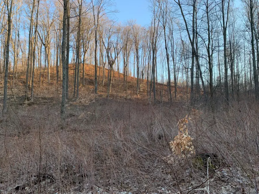 0 Off Of Chief Road, Bear Lake, MI 49614 - #2