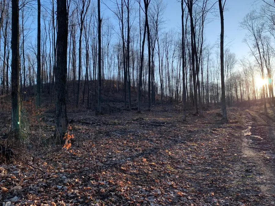 0 Off Of Chief Road, Bear Lake, MI 49614 - #3