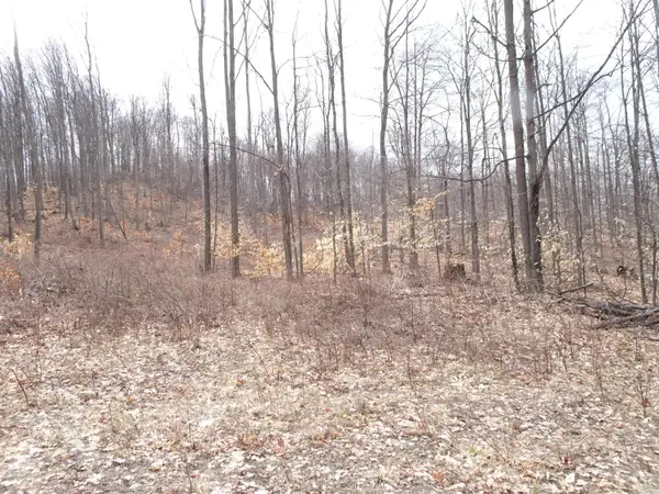 L Chief Road, Bear Lake, MI 49614