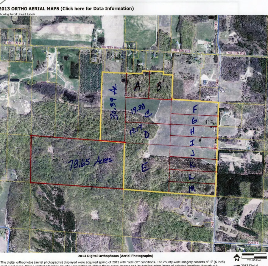 L Chief Road, Bear Lake, MI 49614 - #2