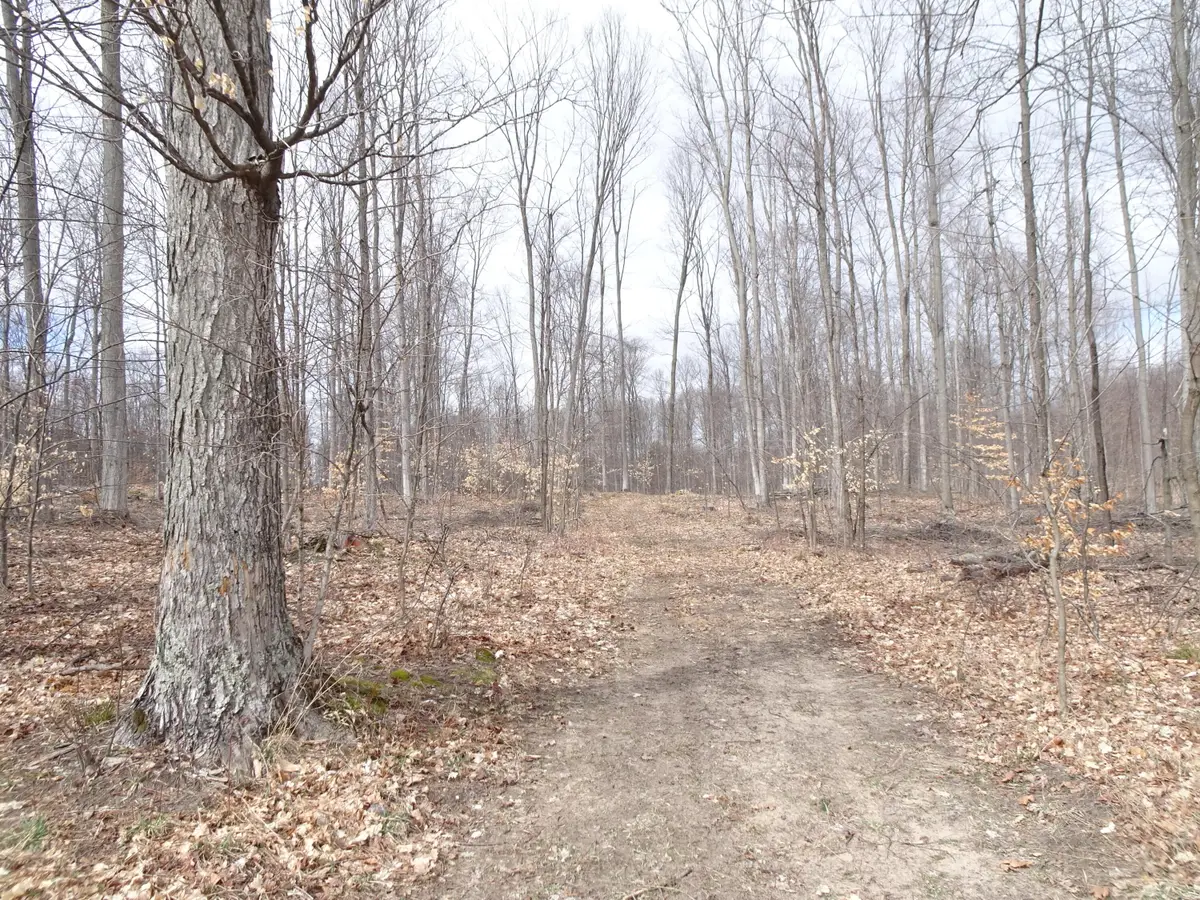 B Chief Road, Bear Lake, MI 49614 - #1