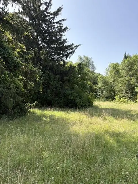 1786 E Napier Avenue, Benton Harbor, MI 49022