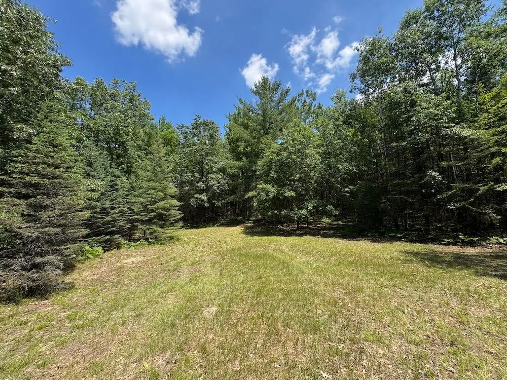 S Loxley Road, Houghton Lake, MI 48629 - #1