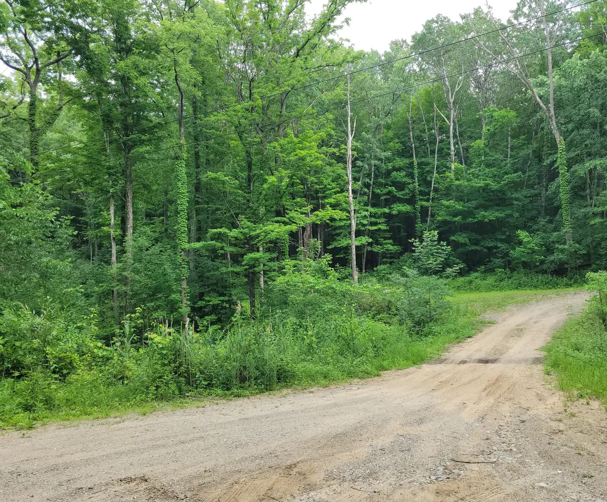 2996 Court Drive Se, Lowell, MI 49331 - #1