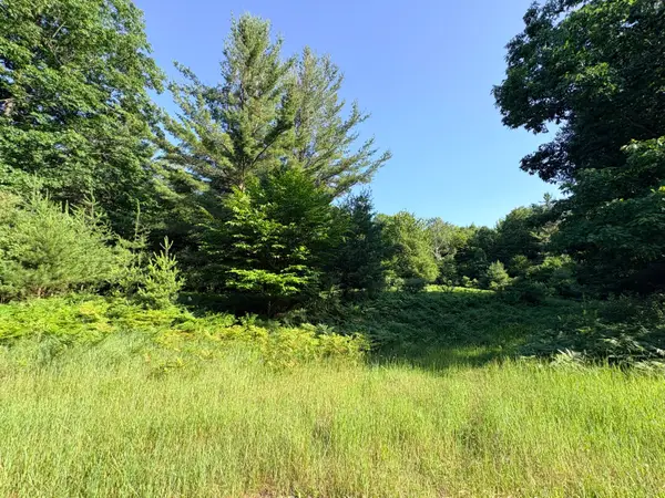Wildwood Trail #Lot A, Manistee, MI 49660