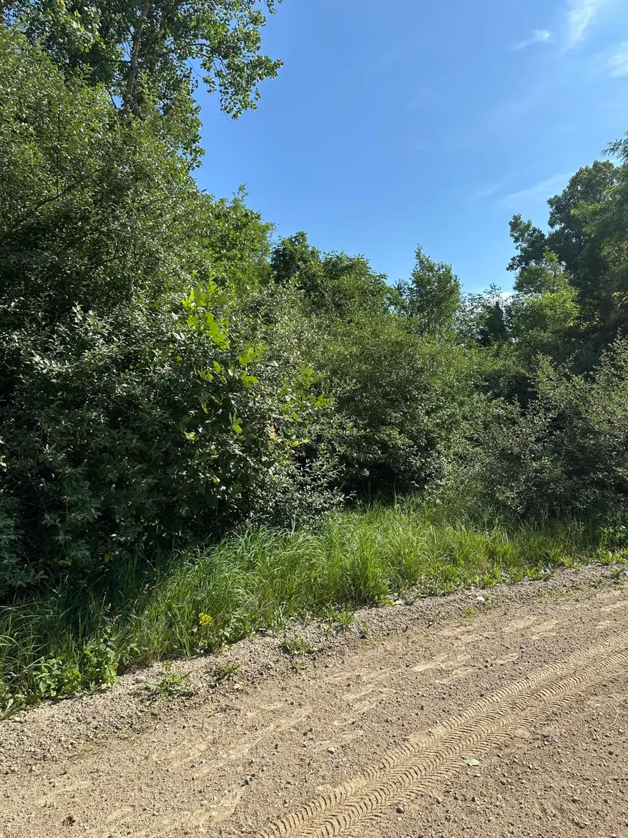 11820 Penlawn Drive, Jerome, MI 49249 - #2
