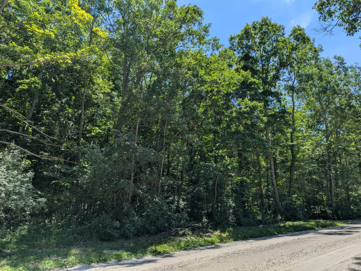 15320 Larsen Avenue Ne, Gowen, MI 49326 - #1