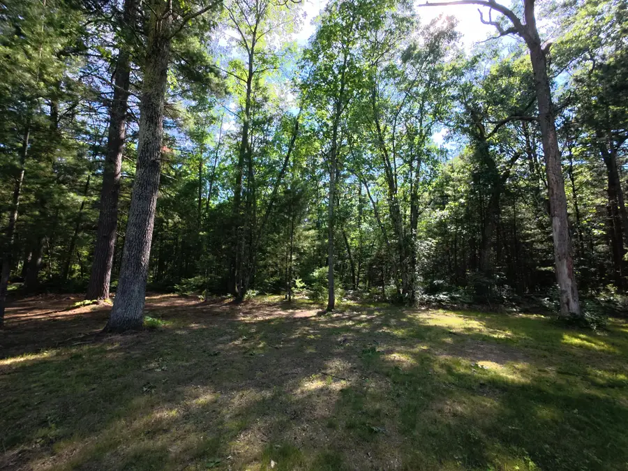 18233 Old House Road, Wellston, MI 49689 - #3