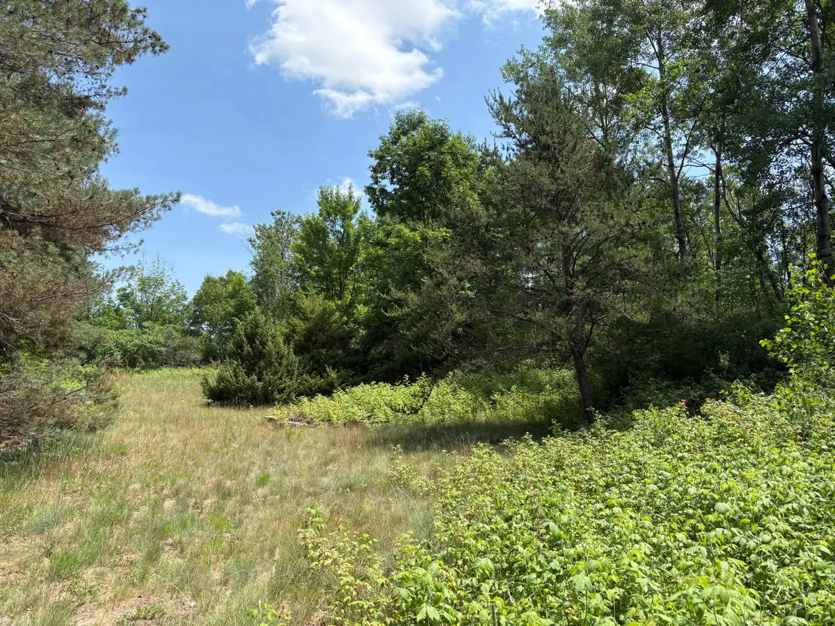 vl S 210th Avenue, Reed City, MI 49677 - #1