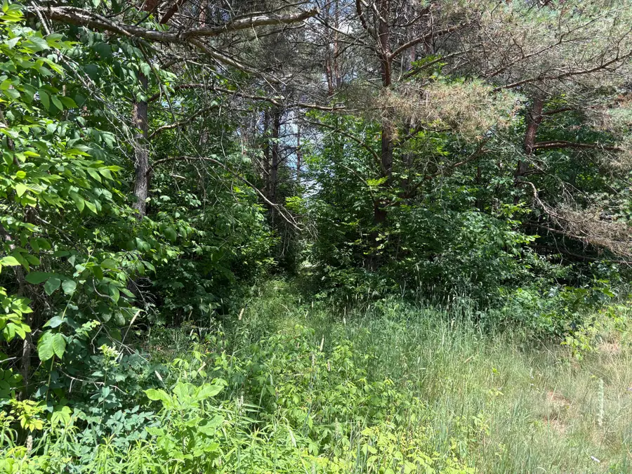 vl S 210th Avenue, Reed City, MI 49677 - #3