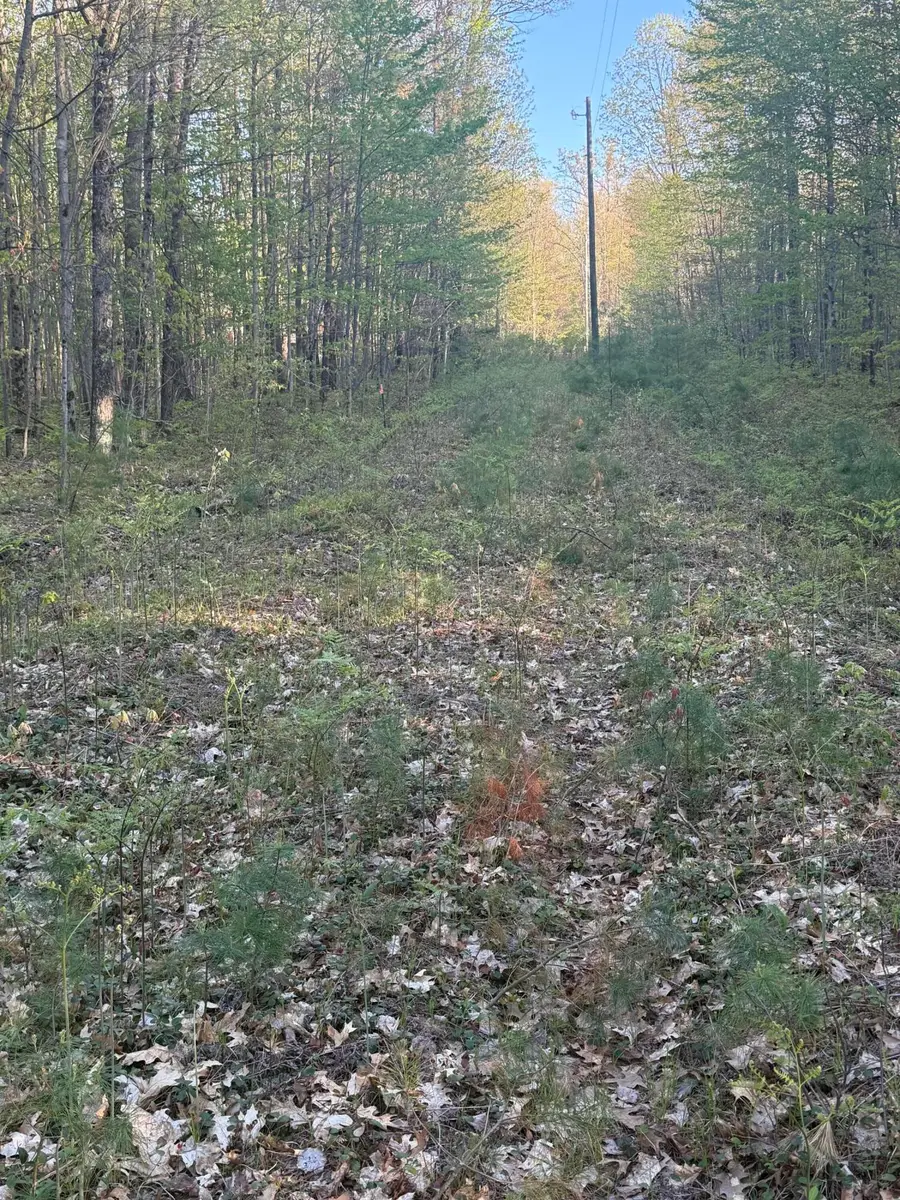 N Woodland Avenue, Bitely, MI 49309 - #3