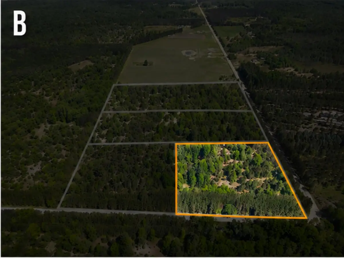 Parcel A Makinen Road, Kaleva, MI 49645 - #1