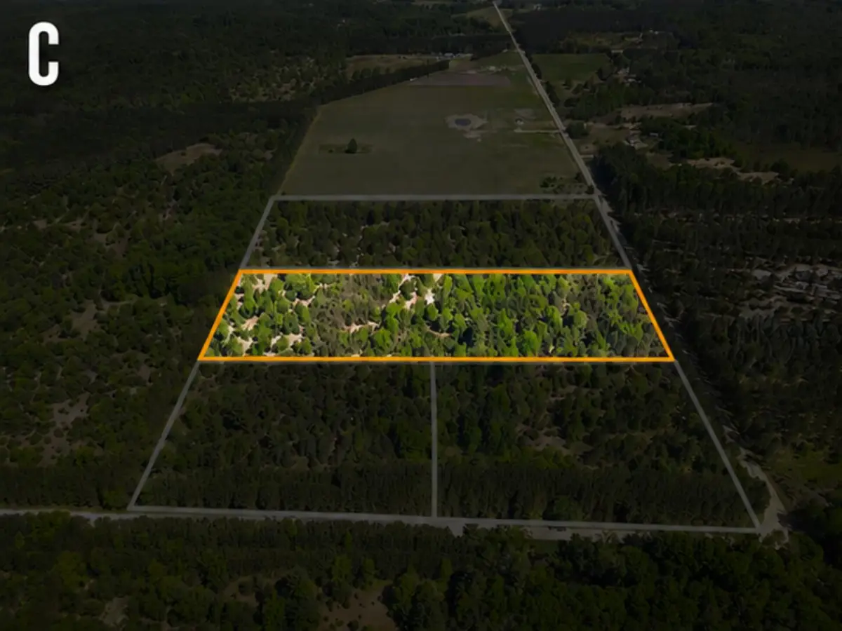 Parcel C Niemi Road, Kaleva, MI 49645 - #1