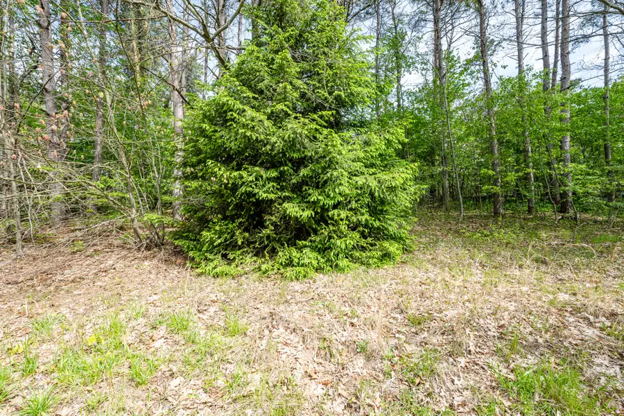 0a Linke Rd Road, Bridgman, MI 49106 - #2