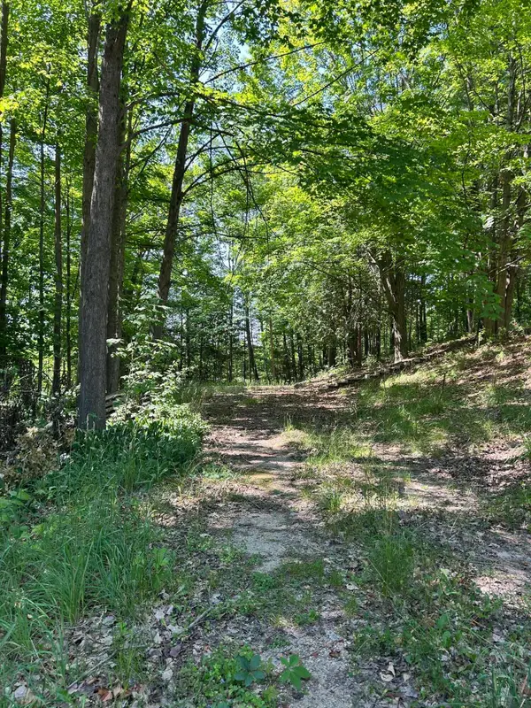 313 W Spruce Street E, Big Rapids, MI 49307