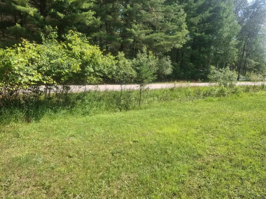 9103 7 Mile Road, Evart, MI 49631 - #2
