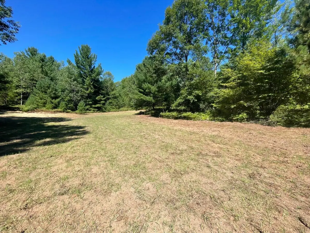 E 8 Mile Road, Luther, MI 49656 - #1