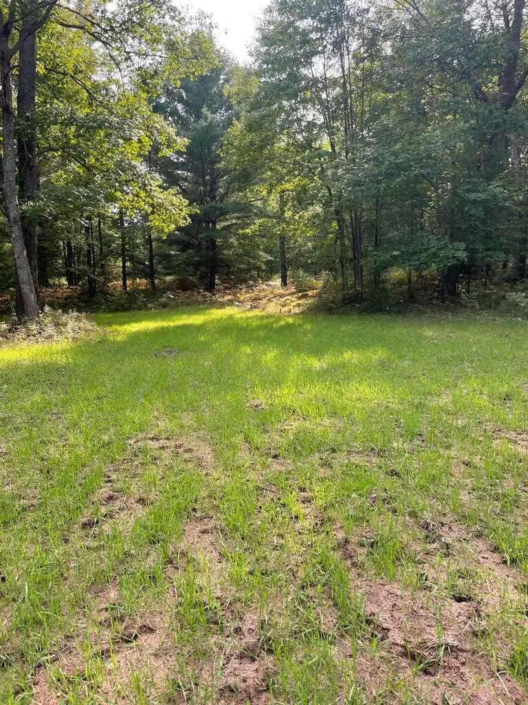 E 8 Mile Road, Luther, MI 49656 - #2