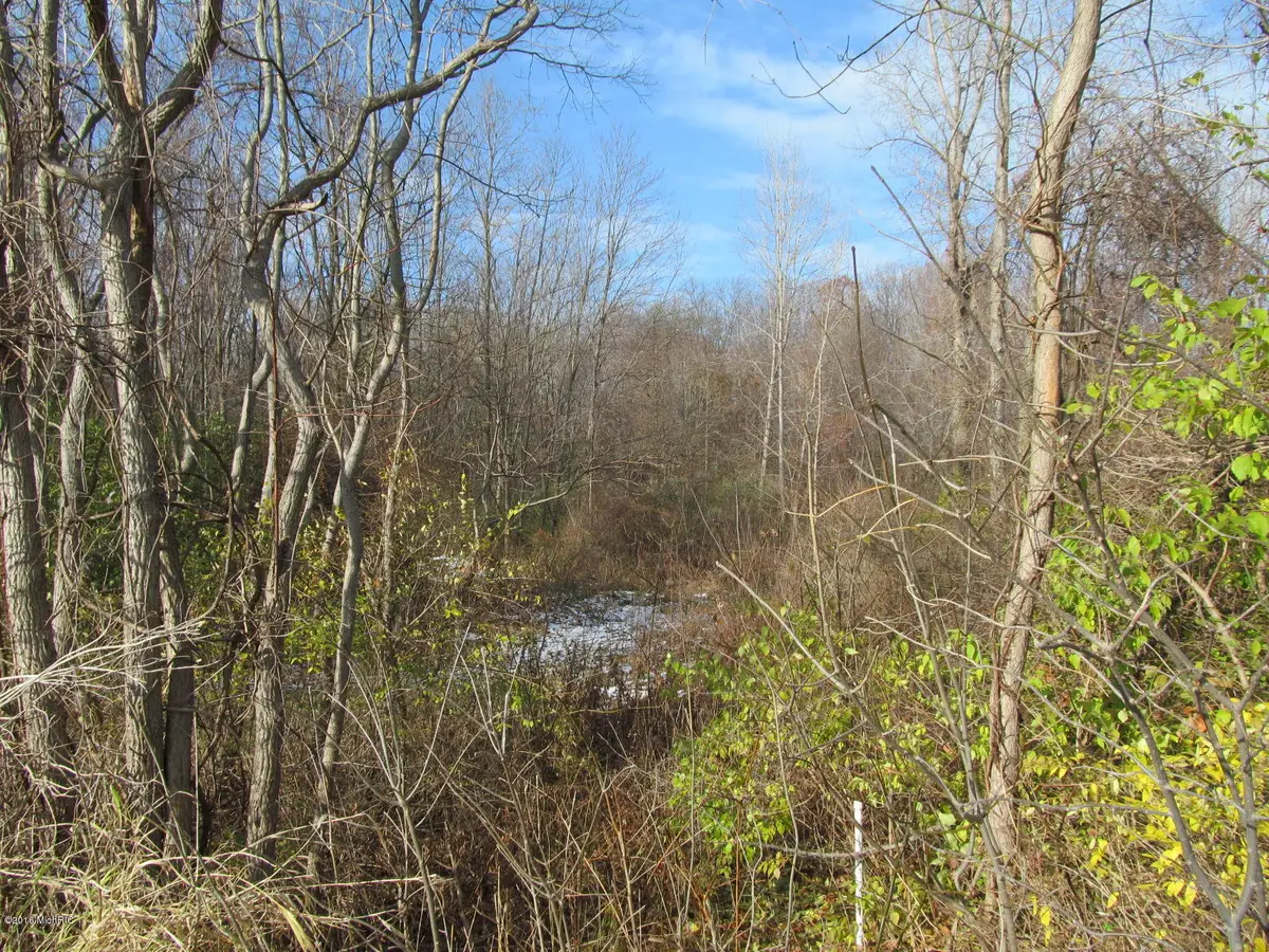 0 W Marquette Woods Road, Stevensville, MI 49127 - #1