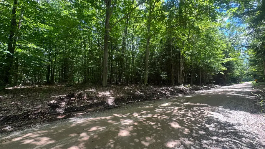 V/L S 35 Road, Cadillac, MI 49601 - #3