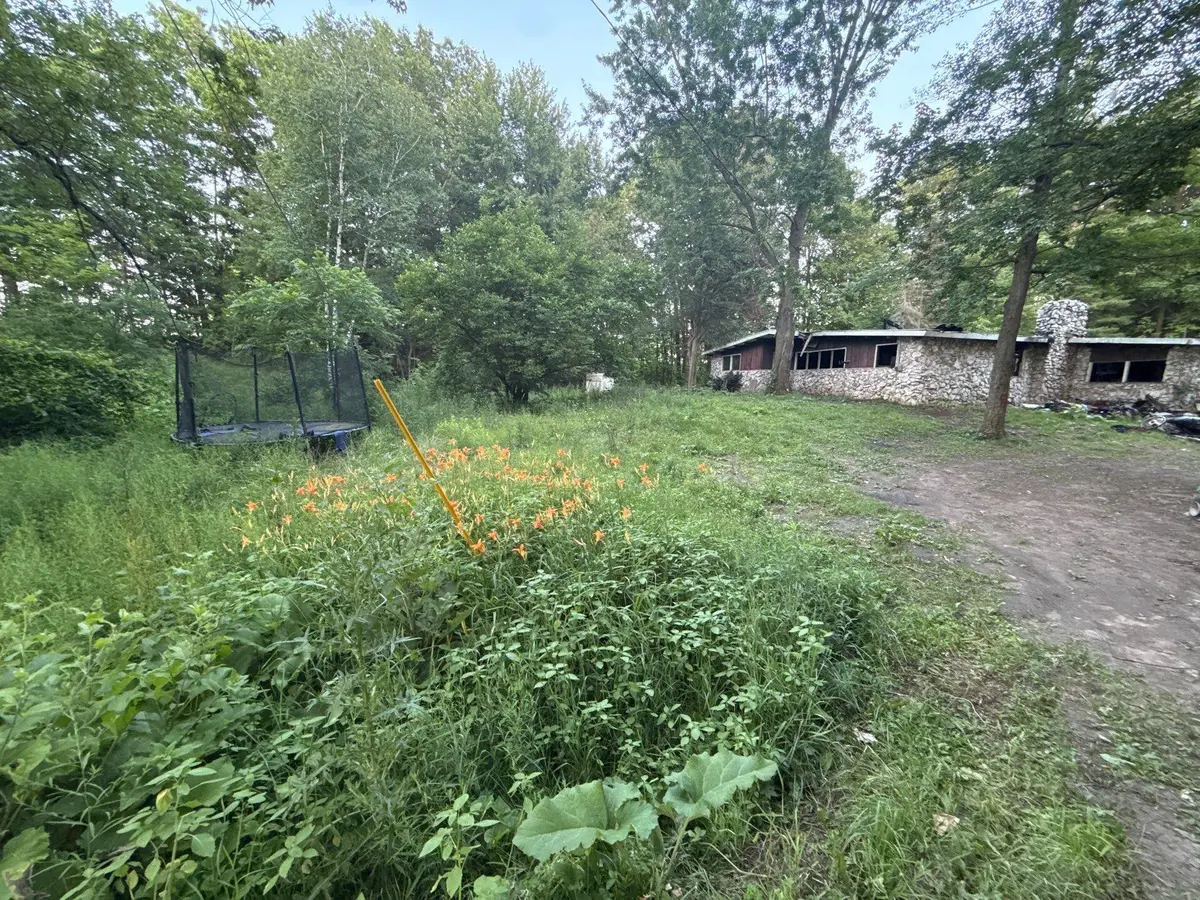 3584 Solon Street Ne, Cedar Springs, MI 49319 - #1