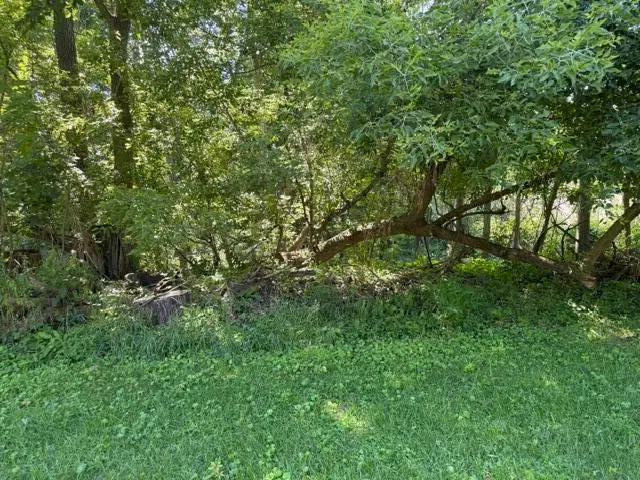 413 Brewer Street, Marshall, MI 49068 - #3