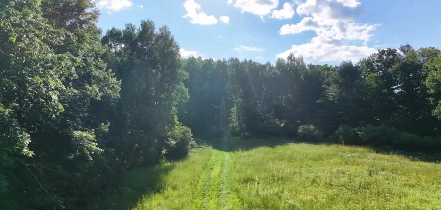 V/L Woods Road, Sidney, MI 48885 - #2