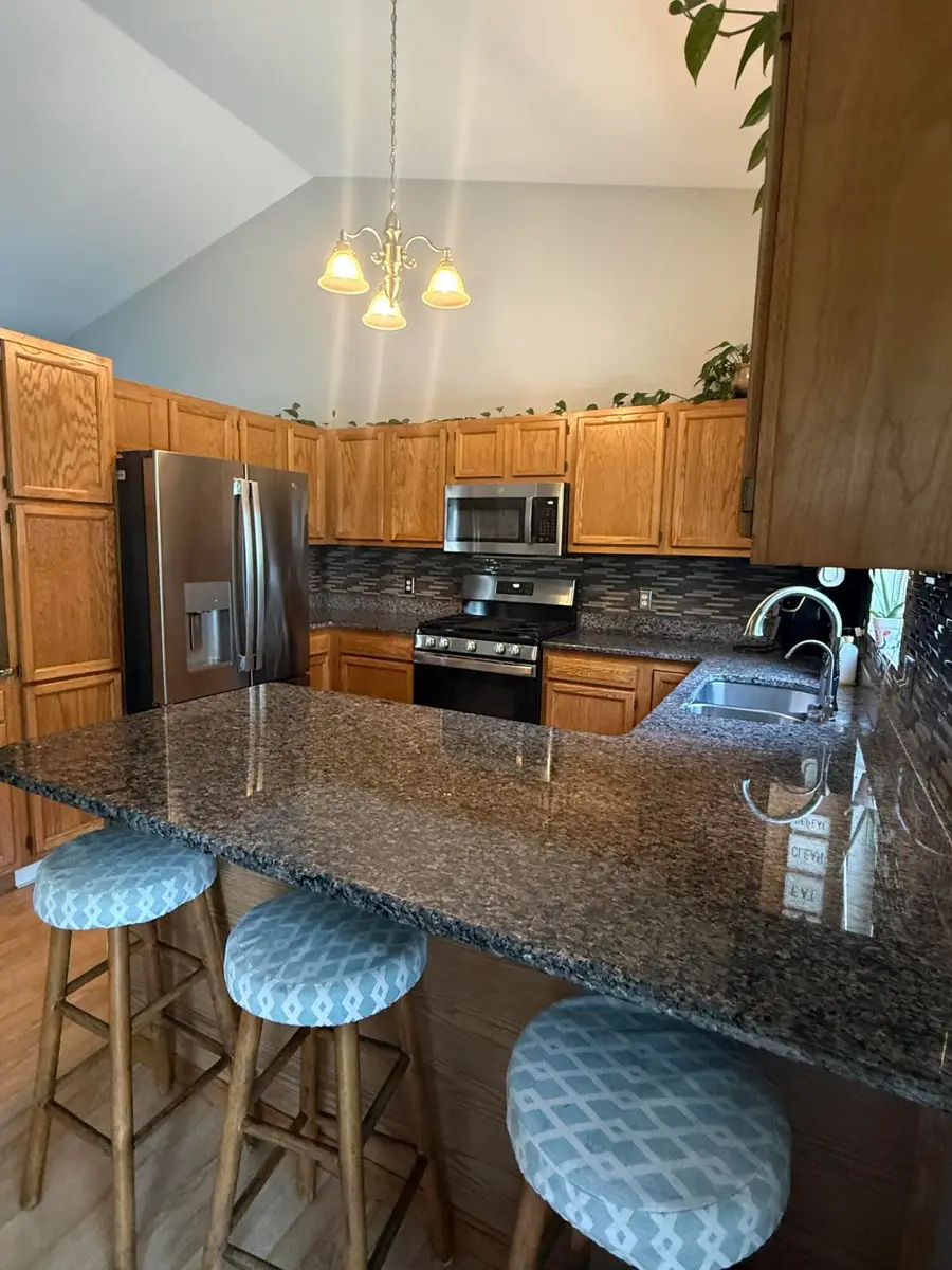 10709 William Court, Greenville, MI 48838 - #2