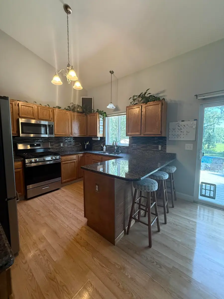 10709 William Court, Greenville, MI 48838 - #3