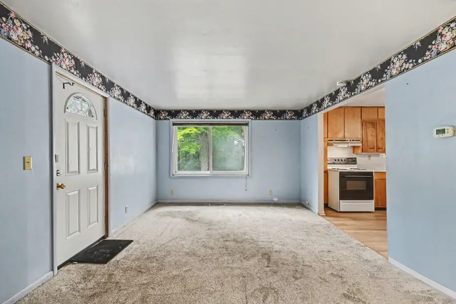 11908 N Meridian Road N, Pleasant Lake, MI 49272 - #3