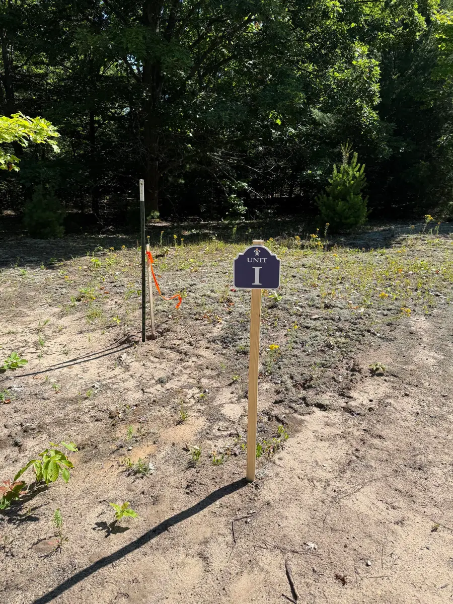 Sadie Ln #Parcel ''I'', Bear Lake, MI 49614 - #3