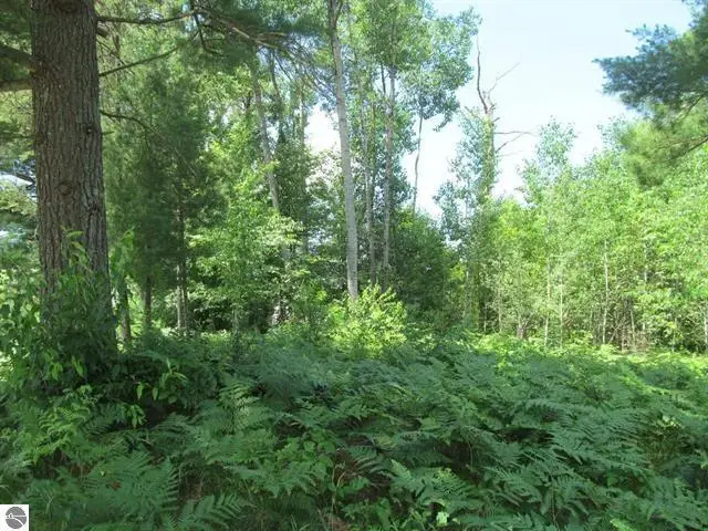63 White Pine Drive, Cadillac, MI 49601 - #1