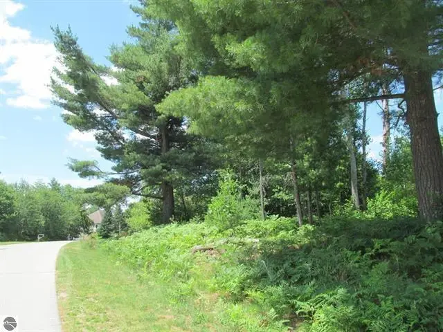 63 White Pine Drive, Cadillac, MI 49601 - #2
