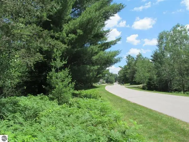 63 White Pine Drive, Cadillac, MI 49601 - #3