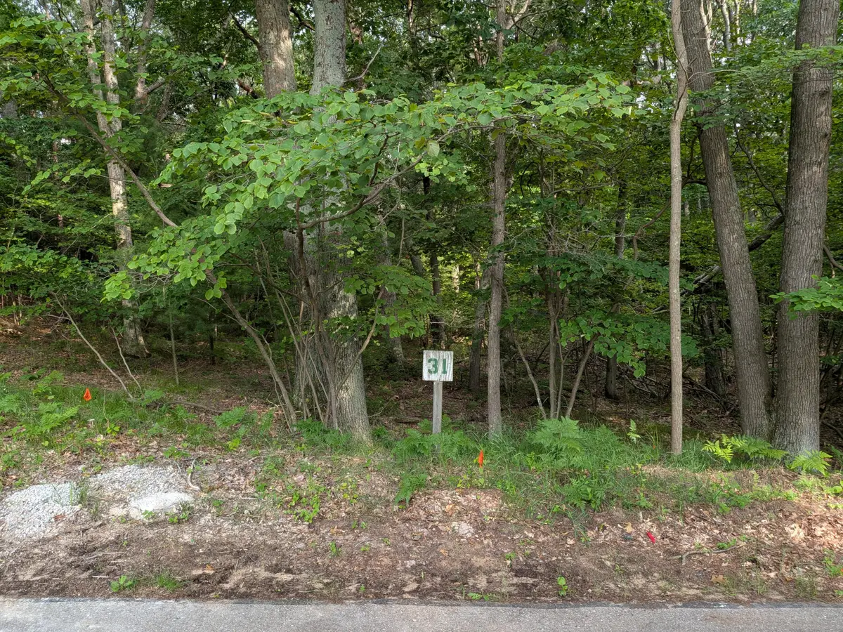 N Silver Ridge Road #Lot 31, Mears, MI 49436 - #1