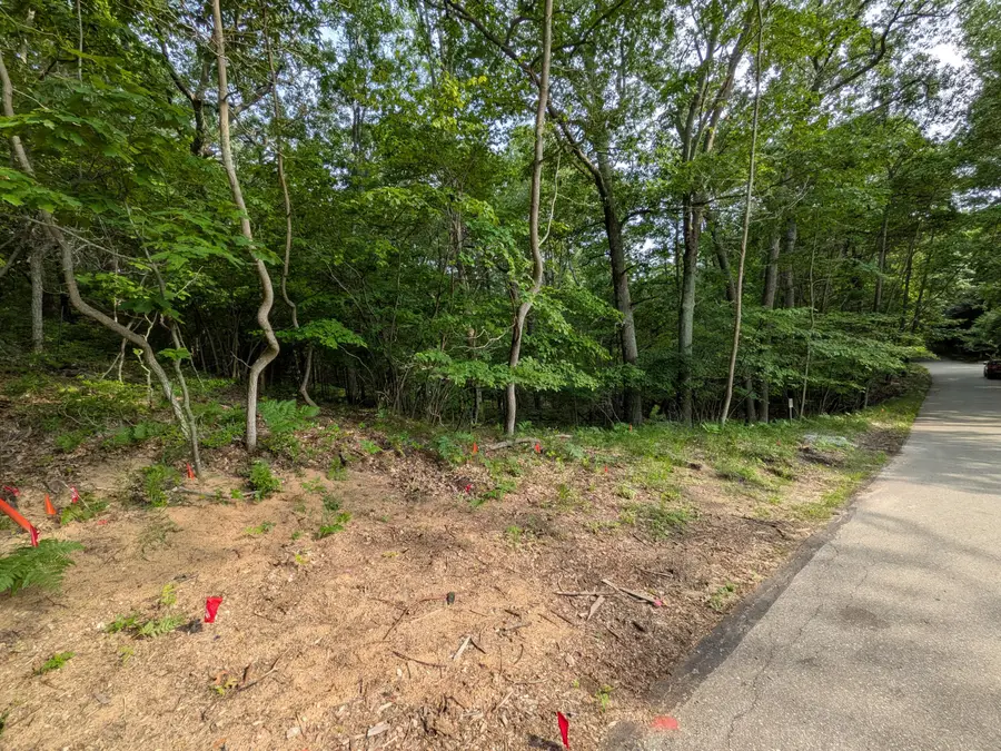 N Silver Ridge Road #Lot 31, Mears, MI 49436 - #3