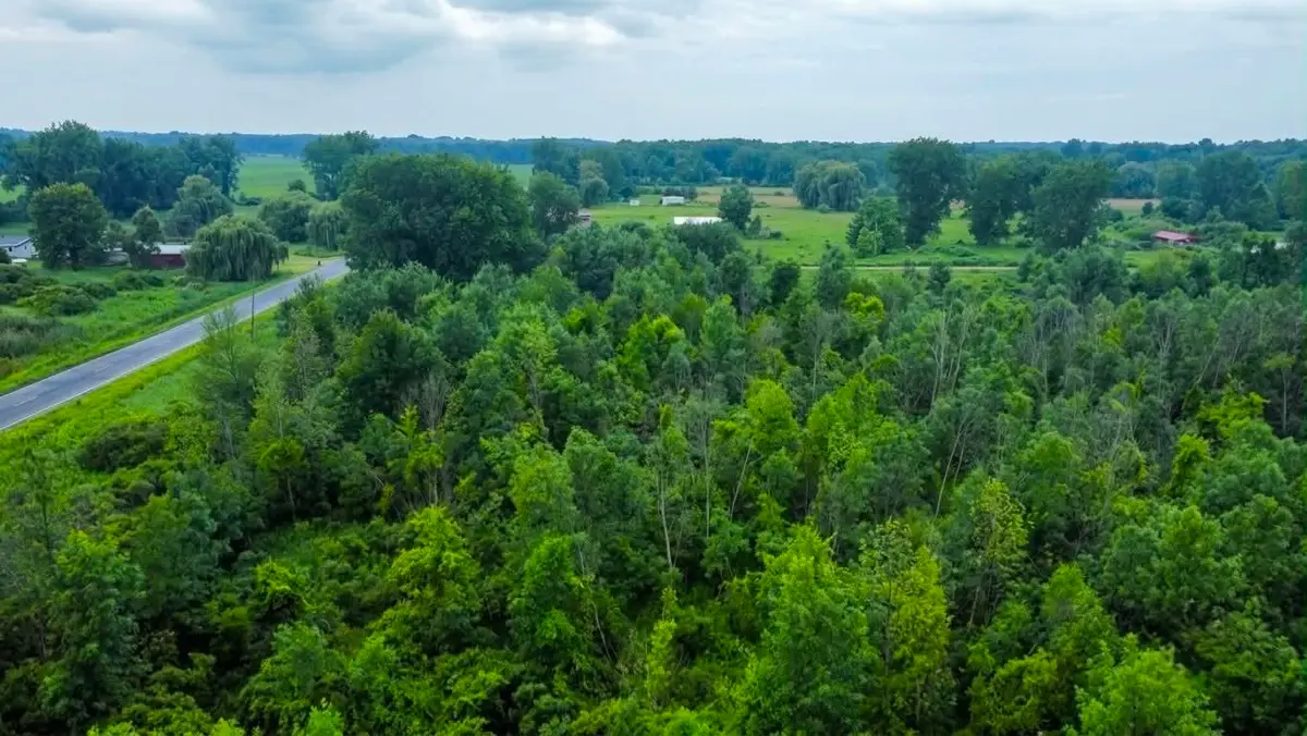 60196 County Road 376, Bangor, MI 49013 - #1