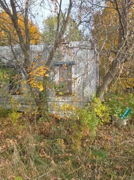 10044 8 Mile Road, Ceresco, MI 49033 - #2