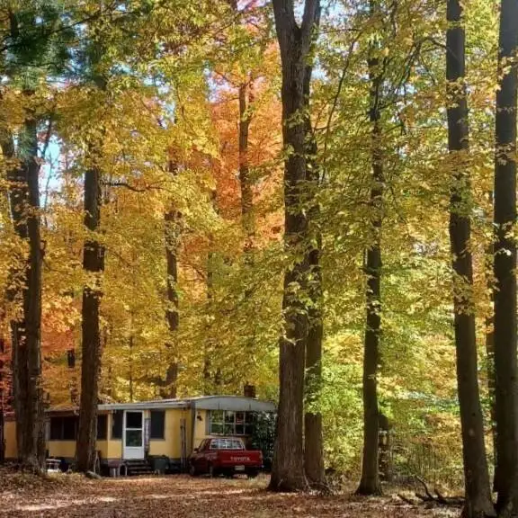 2776 19 Mile Road Ne, Cedar Springs, MI 49319