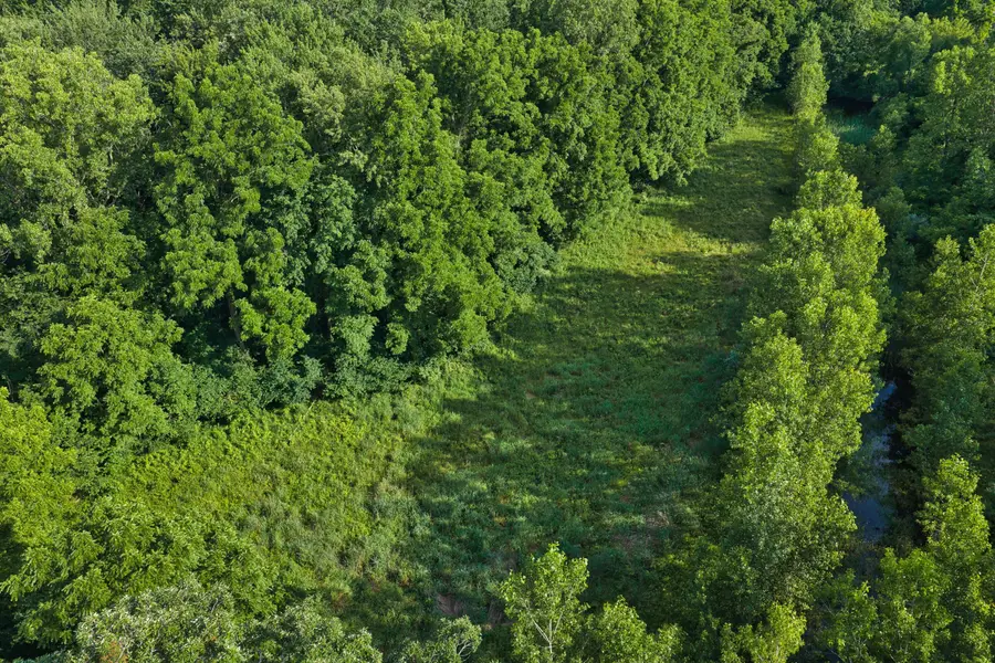 437 S Centennial Road, Coldwater, MI 49036 - #3